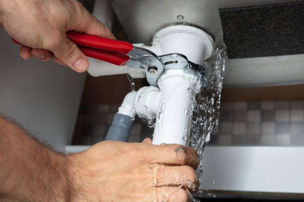 Best Flood restoration services  in Kualapuu, HI