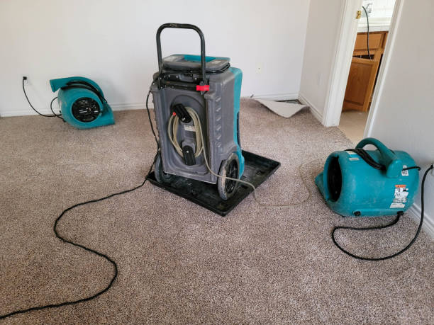 Best Residential water damage restoration  in Kualapuu, HI