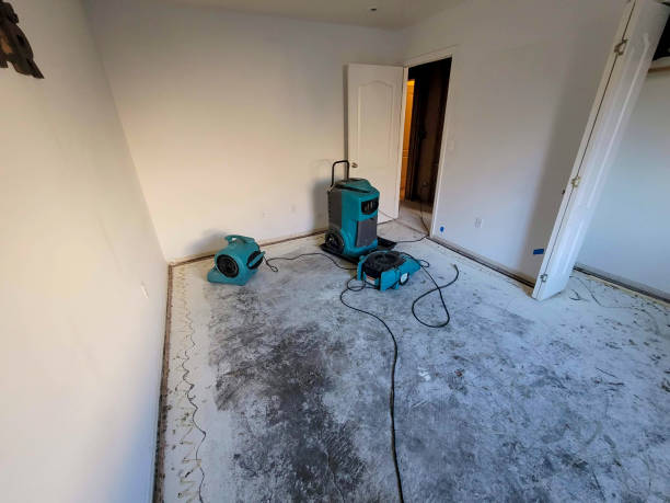 Professional Water damage restoration in HI