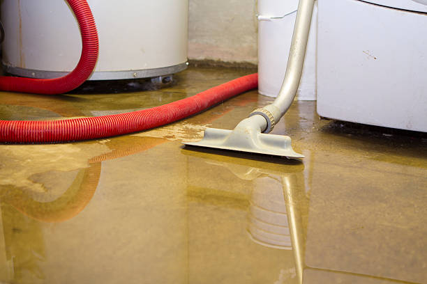 Best Professional water damage repair  in Kualapuu, HI